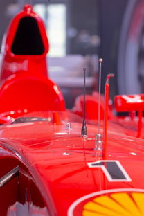 全国青少年旱地冰球锦标赛在哈尔滨精彩展开，旱地冰球比赛时间