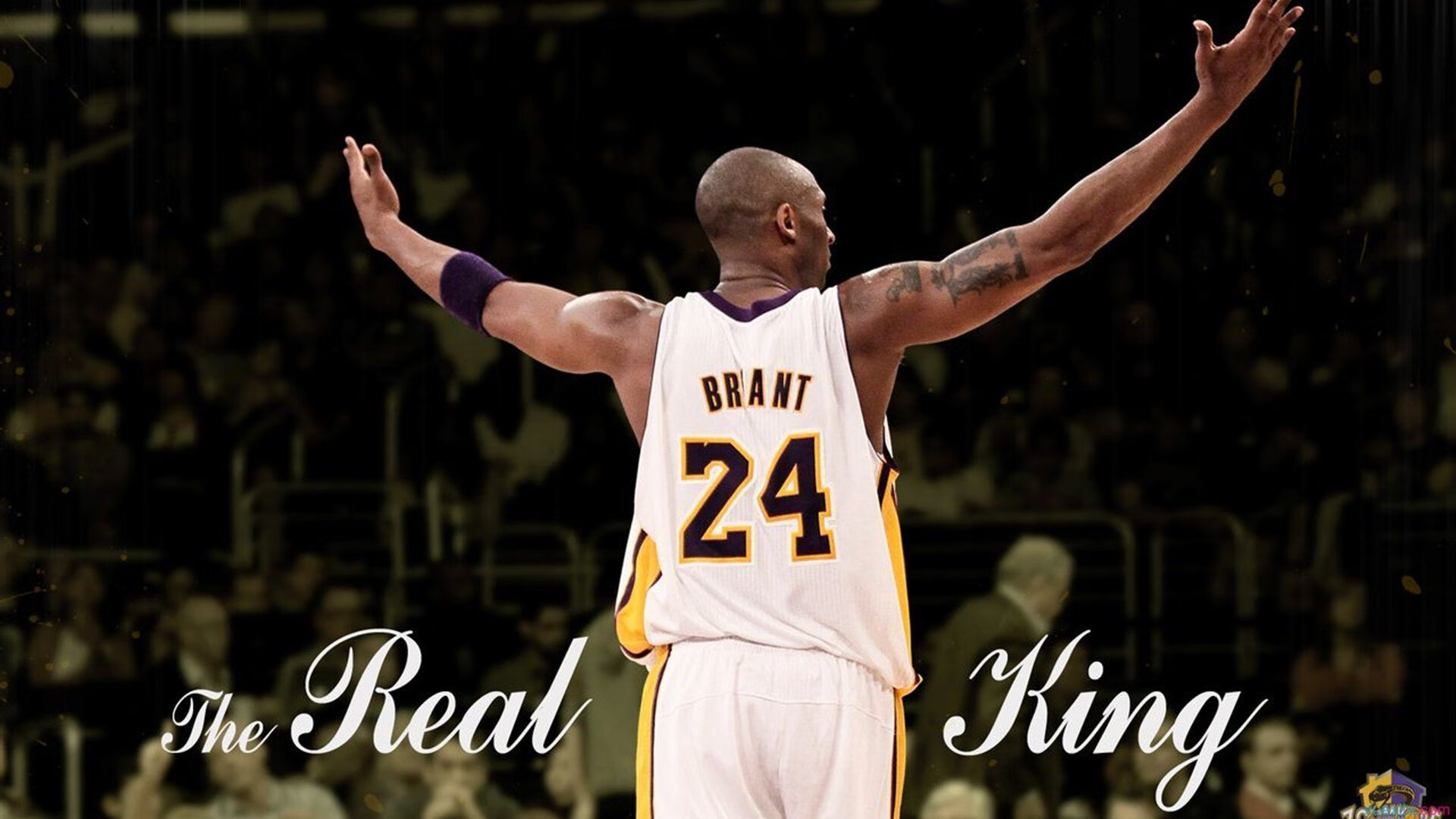 城市联赛试行多级晋升机制增强竞争性与荣誉感，城市赛算职业吗